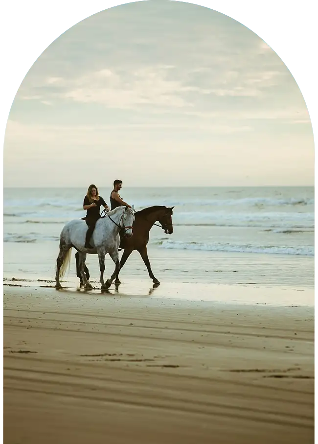Balade en amoureux au coucher de soleil sur la plage d'Essaouira